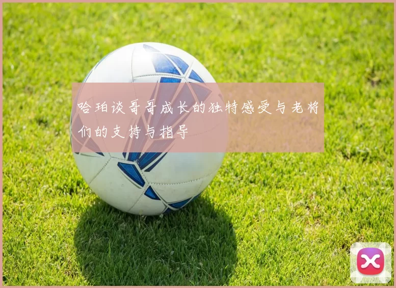 哈珀谈哥哥成长的独特感受与老将们的支持与指导